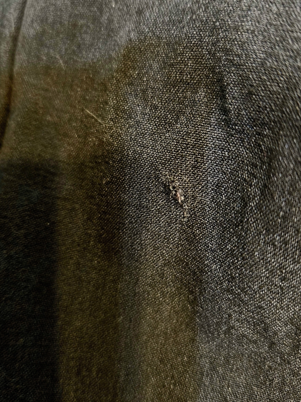 Apostrophe Courtney Trousers 8P - Picture 5 of 8